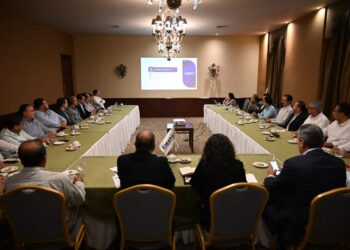 Desde el Senado trabajaré con el CIEST  los proyectos para la zona sur: Olga Sosa