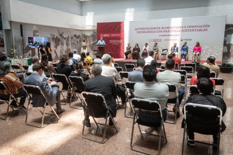 Preservación de abejas melíferas y meliponas radica en la sociedad: SADER