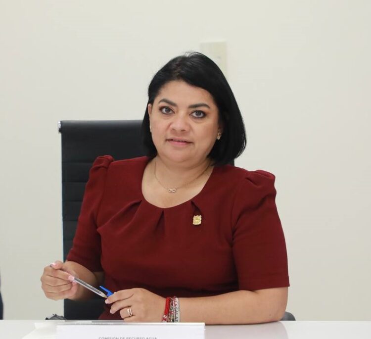 Sugieren fomentar uso de mochilas transparentes en programas de seguridad escolar