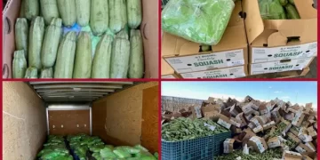 Decomisan cinco toneladas de metanfetamina en cargamento de calabacitas