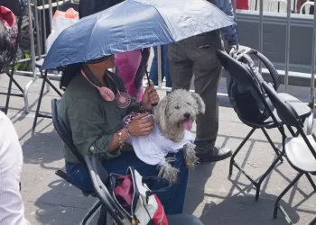 México suma 48 muertes por temperaturas extremas; la mayoría por golpes de calor