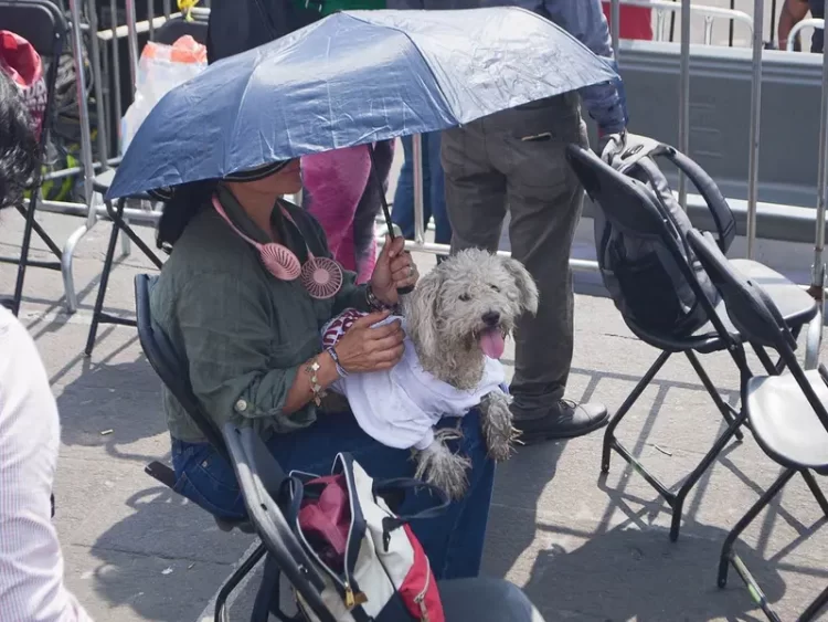 México suma 48 muertes por temperaturas extremas; la mayoría por golpes de calor
