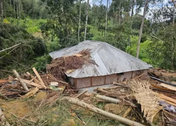 Al menos 670 muertos por deslizamiento de tierra en Papúa Nueva Guinea