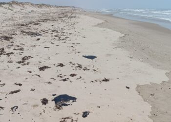 Investiga Procuraduría Ambiental y Urbana presencia de hidrocarburo en playa Miramar y Tesoro.