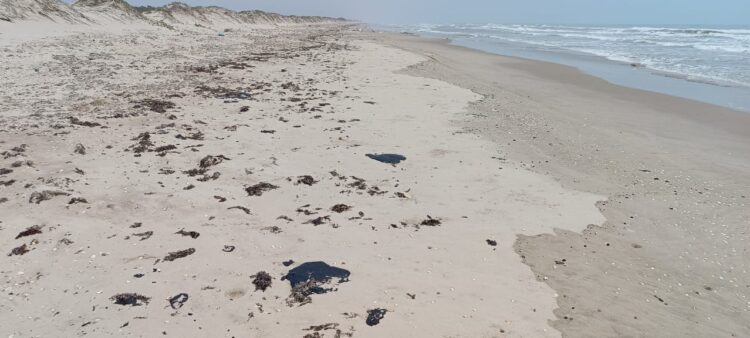 Investiga Procuraduría Ambiental y Urbana presencia de hidrocarburo en playa Miramar y Tesoro.