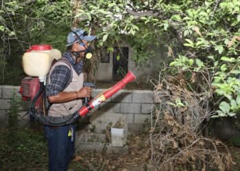 Recomienda la SST eliminar criaderos de mosco y tirar cacharros parra evitar dengue