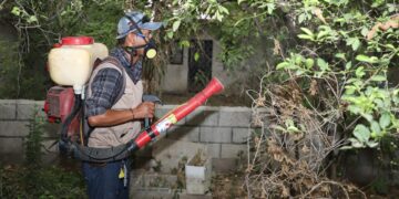 Recomienda la SST eliminar criaderos de mosco y tirar cacharros parra evitar dengue