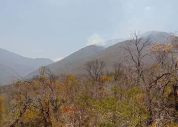 Activan brigadas contra incendios ante columna de humo en La Reforma, Jaumave