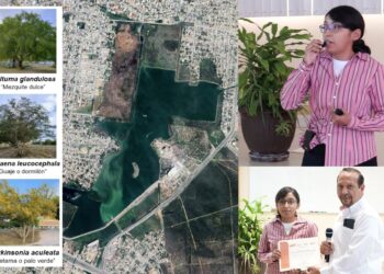 Analiza la UAT el uso de plantas nativas para recuperar suelos contaminados