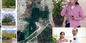 Analiza la UAT el uso de plantas nativas para recuperar suelos contaminados