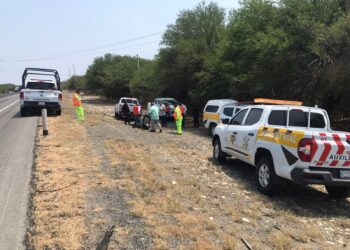 Atiende Guardia Estatal reporte de oso muerto en carretera de Llera, Tamaulipas