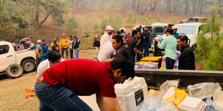 Consume incendio más de mil hectáreas en el Cañón del Novillo