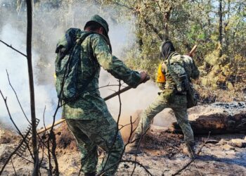 Intensifican acciones de combate a incendios forestales de Jaumave y Tula