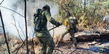 Intensifican acciones de combate a incendios forestales de Jaumave y Tula