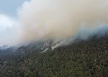 Consume incendio más de mil hectáreas en el Cañón del Novillo
