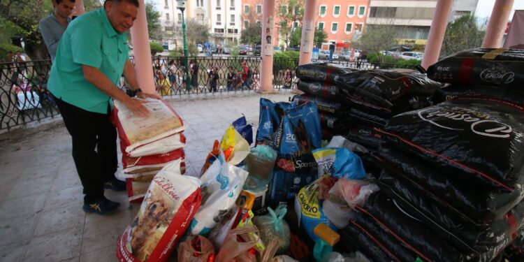 Ofrece “Geño” Hernández promover leyes severas contra el maltrato animal desde el Senado