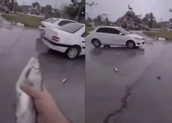Se registra una “lluvia de peces” en la Ciudad de Yasuj, Irán 