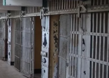 AMCP apoya a la Corte para que desaparezca la prisión preventiva oficiosa