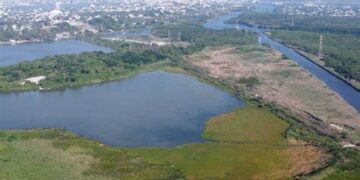 Piden a Estado y CONAGUA garantizar agua para consumo en Tampico