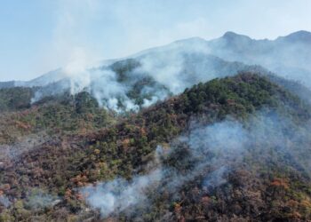 Se reactiva incendio en Cañón del Novillo