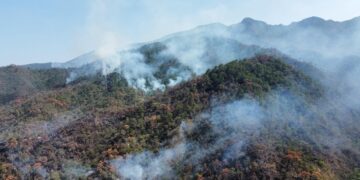 Se reactiva incendio en Cañón del Novillo