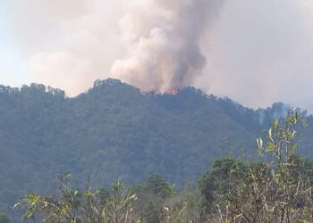 Arde el “Cañón del Novillo” en la sierra aledaña a Cd. Victoria