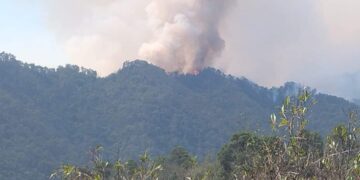 Arde el “Cañón del Novillo” en la sierra aledaña a Cd. Victoria