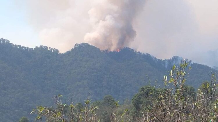 Arde el “Cañón del Novillo” en la sierra aledaña a Cd. Victoria