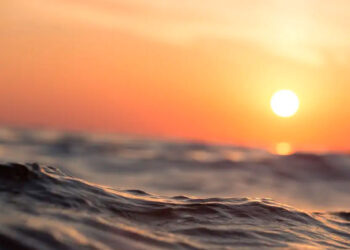 Científicos urgen medidas ante un calentamiento global sin precedentes en Europa