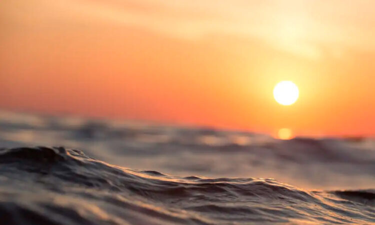 Científicos urgen medidas ante un calentamiento global sin precedentes en Europa