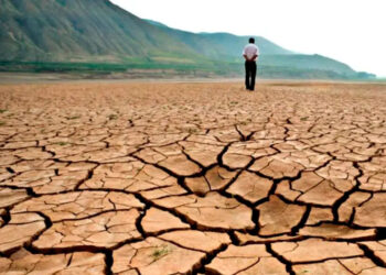 Desarrollan app que utiliza ciencias del comportamiento para advertir sobre el cambio climático