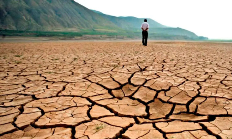 Desarrollan app que utiliza ciencias del comportamiento para advertir sobre el cambio climático