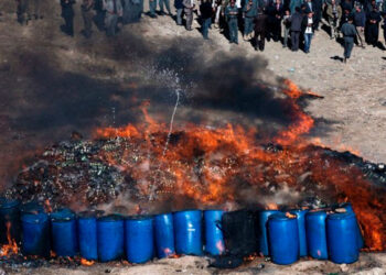 Aumenta el consumo de drogas en África: del cannabis al tramadol