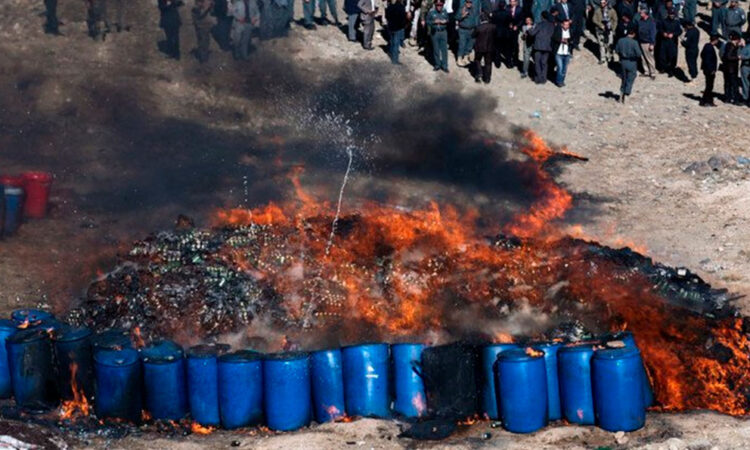 Aumenta el consumo de drogas en África: del cannabis al tramadol