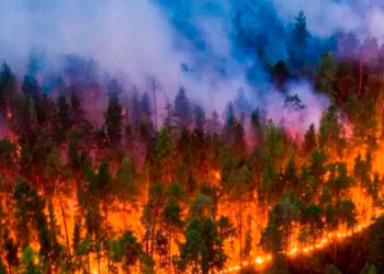 Guatemala enfrenta 75 incendios activos y una peligrosa contaminación del aire