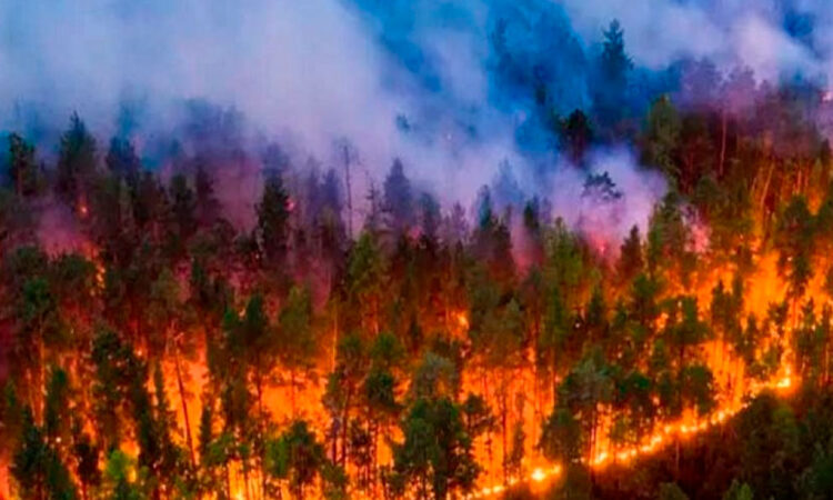 Guatemala enfrenta 75 incendios activos y una peligrosa contaminación del aire