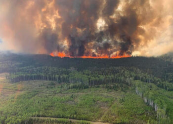 Canadá enfrenta crisis de incendios: 87 focos activos y seis fuera de control