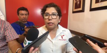 Detectan en Victoria casos de dengue