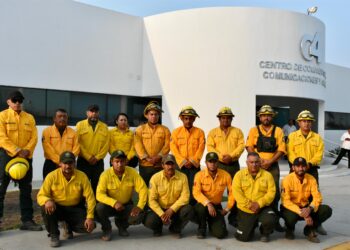 Llegan brigadistas de otros estados para combatir incendio en el Novillo