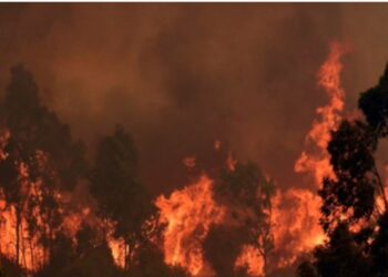 Bombero detenido por provocar incendio en Viña del Mar, Chile