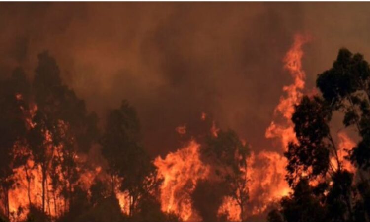 Bombero detenido por provocar incendio en Viña del Mar, Chile