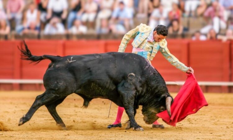 Colombia prohíbe las corridas de toros