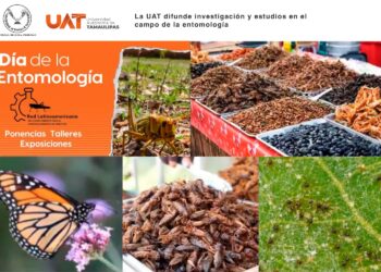 Presentan universitarios avances en las investigaciones en el campo de la entomología
