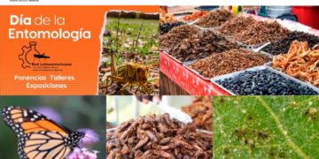 Presentan universitarios avances en las investigaciones en el campo de la entomología