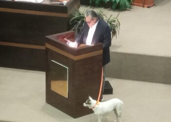 Pide Diputado de MC de Tamaulipas al Congreso pensión vitalicia para dos perras callejeras que cuidan el recinto