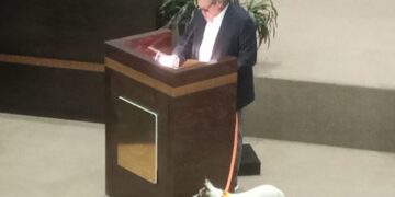 Pide Diputado de MC de Tamaulipas al Congreso pensión vitalicia para dos perras callejeras que cuidan el recinto