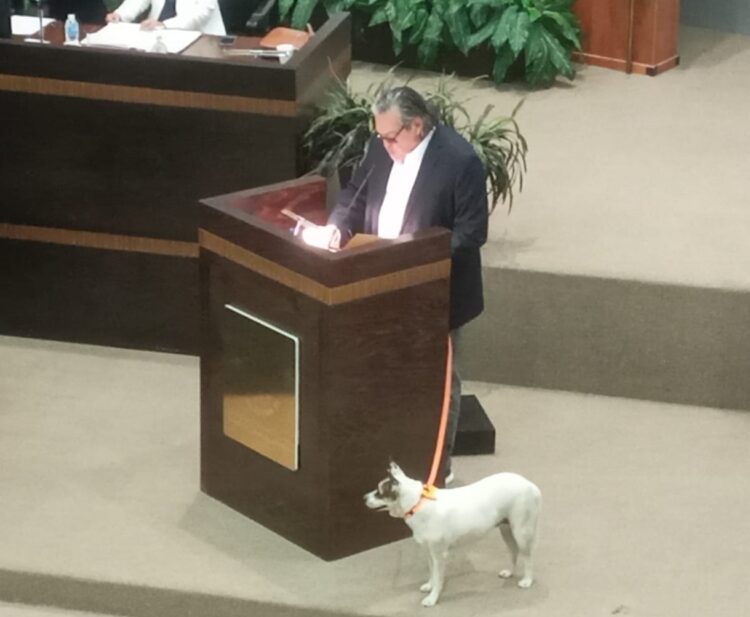 Pide Diputado de MC de Tamaulipas al Congreso pensión vitalicia para dos perras callejeras que cuidan el recinto