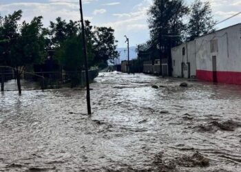 Contrastes: Pega tromba a ejidos de Tula y fuego devora bosques en Jaumave, Bustamante e Hidalgo