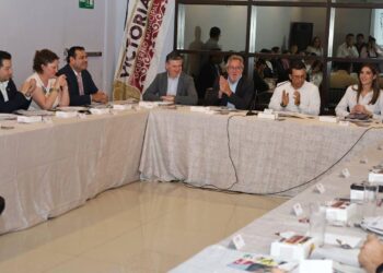 Gobierno de Victoria presenta a inversionistas de Francia bondades de la región