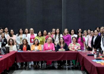 Contribuye Instituto de las Mujeres de Tamaulipas al Diagnóstico Nacional sobre la Violencia 